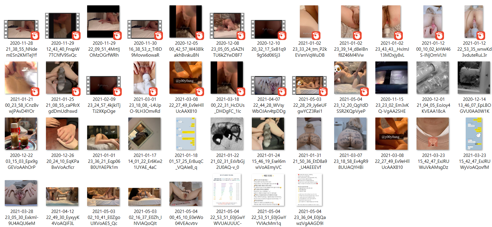 육변기 유영 [영상/사진] 미리보기 7