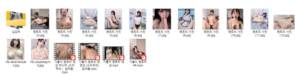 요새 활동안하는 [깁갑주] 보털노출 하이라이트+기룡이 팬트리보너스 미리보기 4