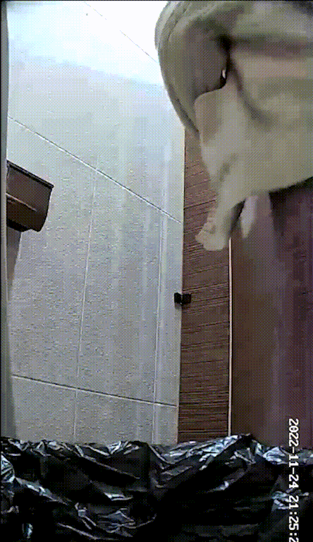 코로나시기_국산화장실 [합본_여러명] 미리보기 7