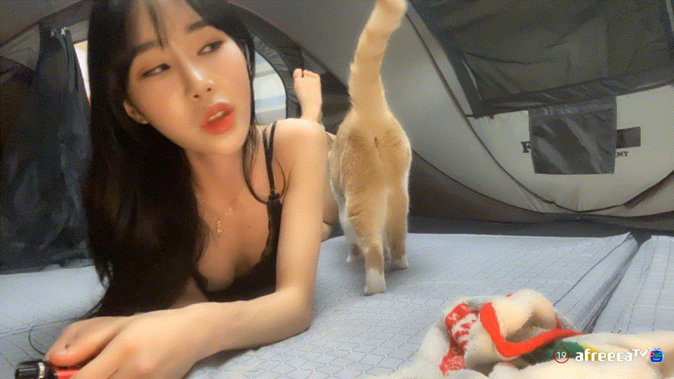 아프리카BJ젤지(겟지) 1:1꼭까방 / 도원 게스트 팬방 6.89G 미리보기 6