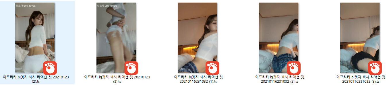 아프리카BJ젤지(겟지) 1:1꼭까방 / 도원 게스트 팬방 6.89G 미리보기 11