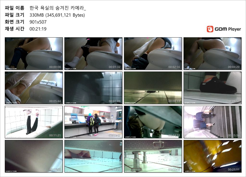 LINSECAT_한국 화장실녀 모음+지하철 얼굴확인 미리보기 15