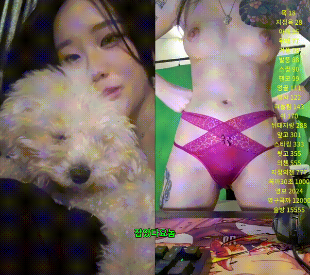 신따.신수이_아프리카.인스타릴스.틱톡 [잡았다요놈] 3V 미리보기 2