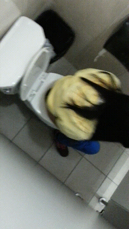 좌변기_얼굴확인 9V 미리보기 7