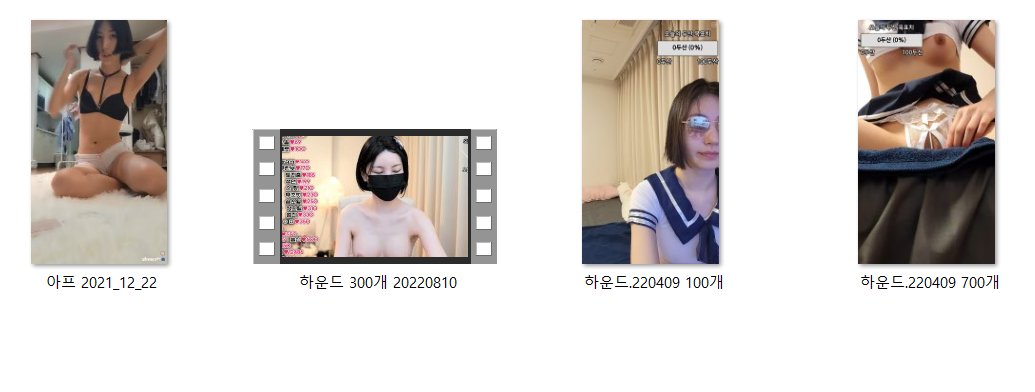 아프리카 BJ하운드 [얼공작]_불고기/올노출 [4개작] 미리보기 5