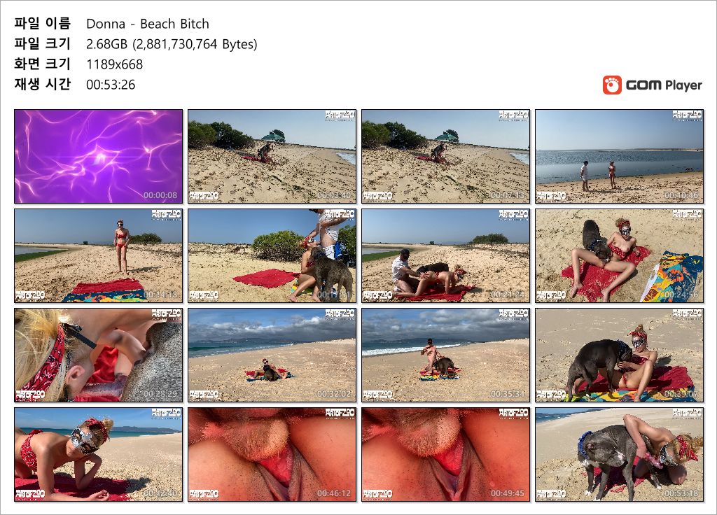 [취향극혐] 해변가 미녀 vs 개 v s남자 수간 쓰리썸 질사 미리보기 10