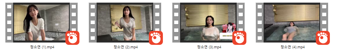 아프리카 현재 은퇴한 BJ 정소연_수영복 방송 4개작 4.83G 미리보기 5