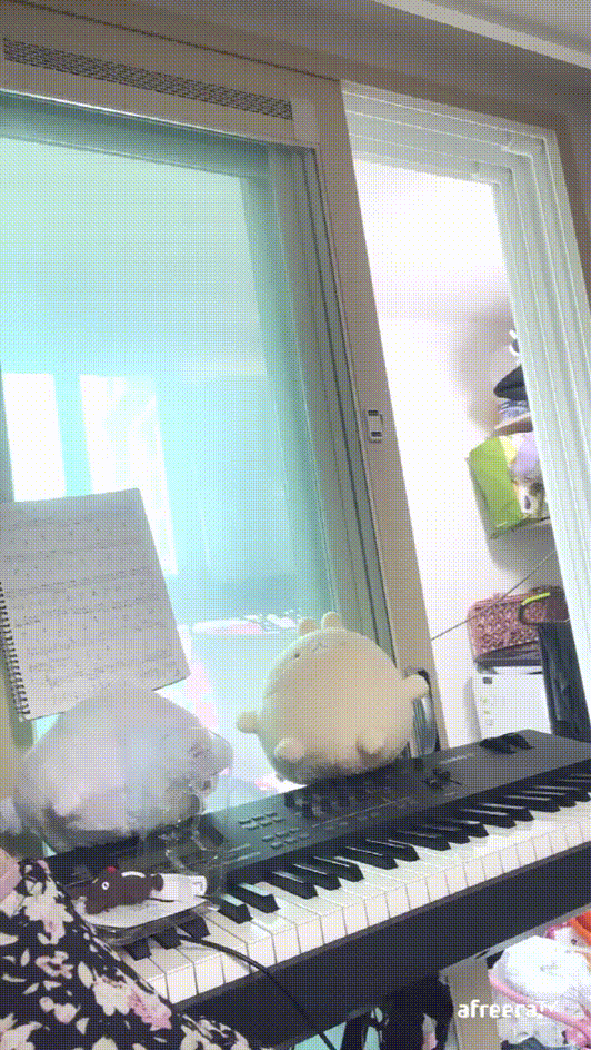 방구석미지 krr100o_아프리카 유륜.팬티 육덕노출 미리보기 3