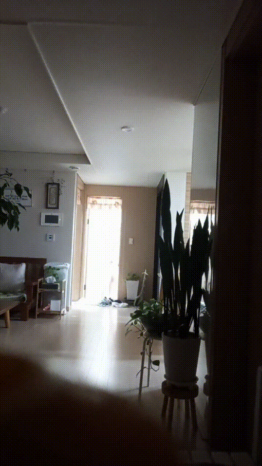 집에서 몰래 누나 찍기 미리보기 9