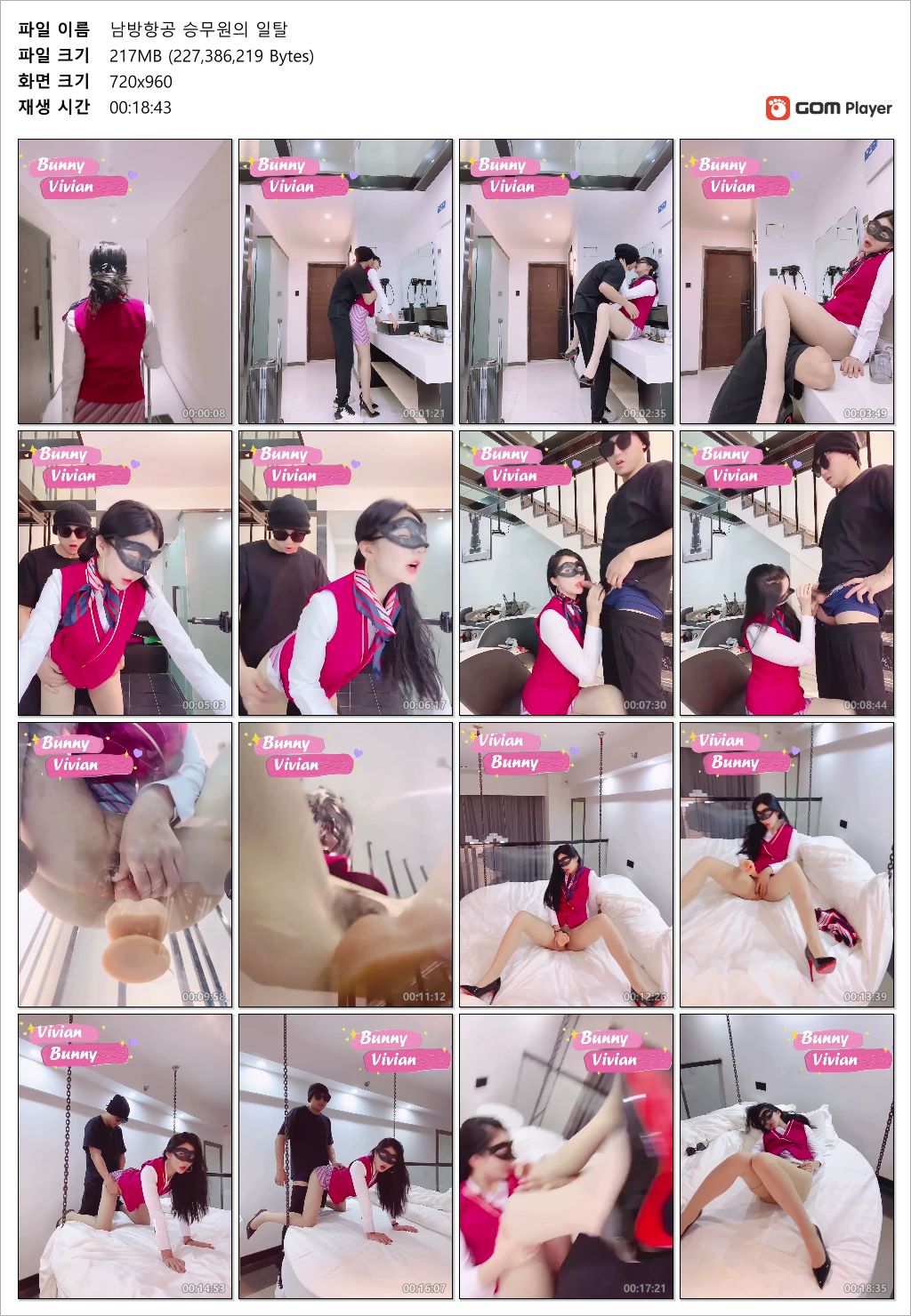 남방항공 승무원의 일탈 미리보기 8