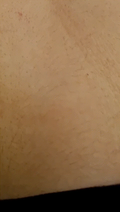 잤니_팬방 등에 털많은 솜털 존예게스트녀 미리보기 3