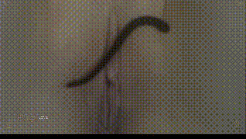 [혐] HARD_거머리 보지/항문_물고문 미리보기 11