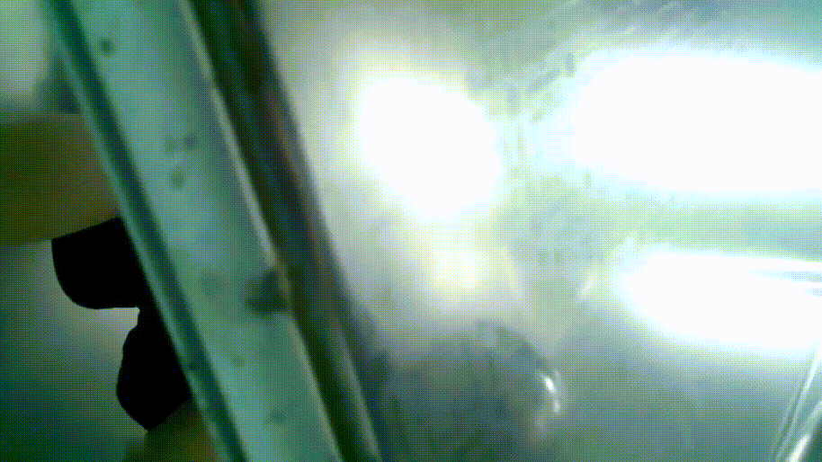 한국화장실 [백보녀들+지하철 얼굴확인] 합본_21분 미리보기 11