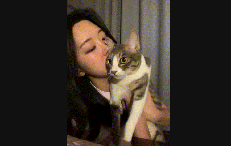 뮤지컬배우_인스타라방