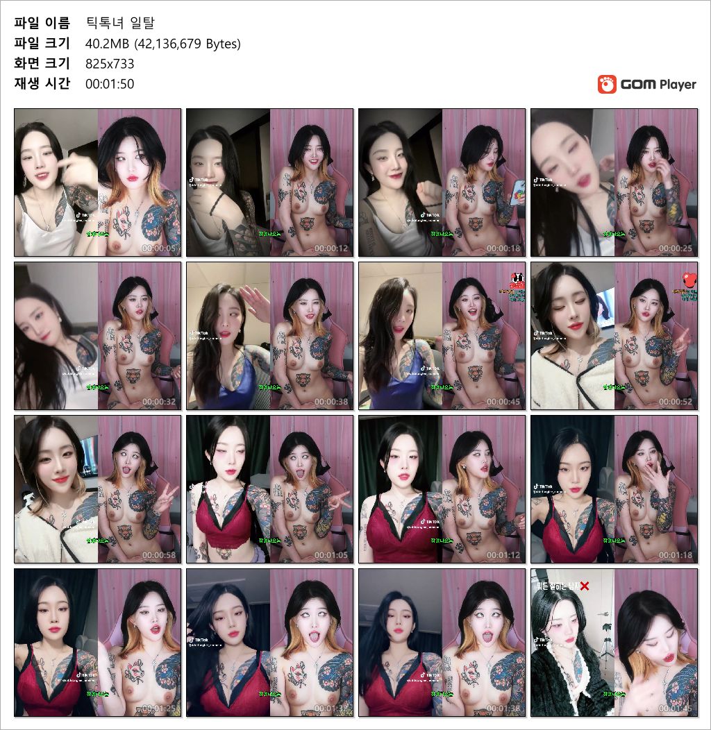 신수이.신따_틱톡 일탈 [잡았다요놈] 미리보기 5