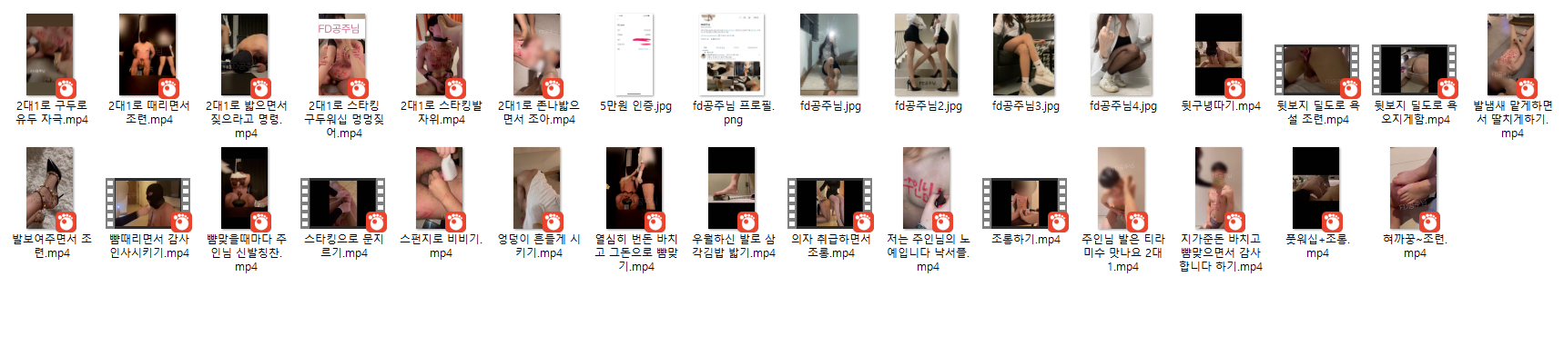 FD공주_펨돔 자료 [혐] 미리보기 8