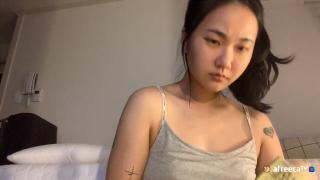 아프라카 하리보 젤리_[꼭노포함] 씨부레 10v