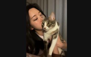 뮤지컬배우_인스타라방