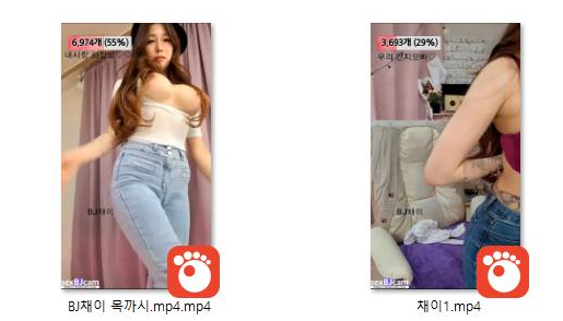 햄 목까시[긴햄이 목에 다들어가는] BJ채이_3개작 미리보기 4