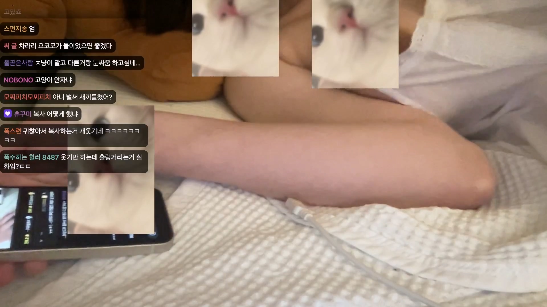 치지직 유명인플루언사_꼭+유륜 노브라 방송