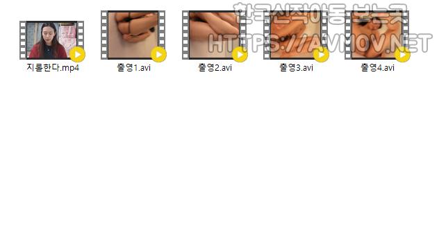 양예원 743P 2.9GB 영상4개 미리보기 4