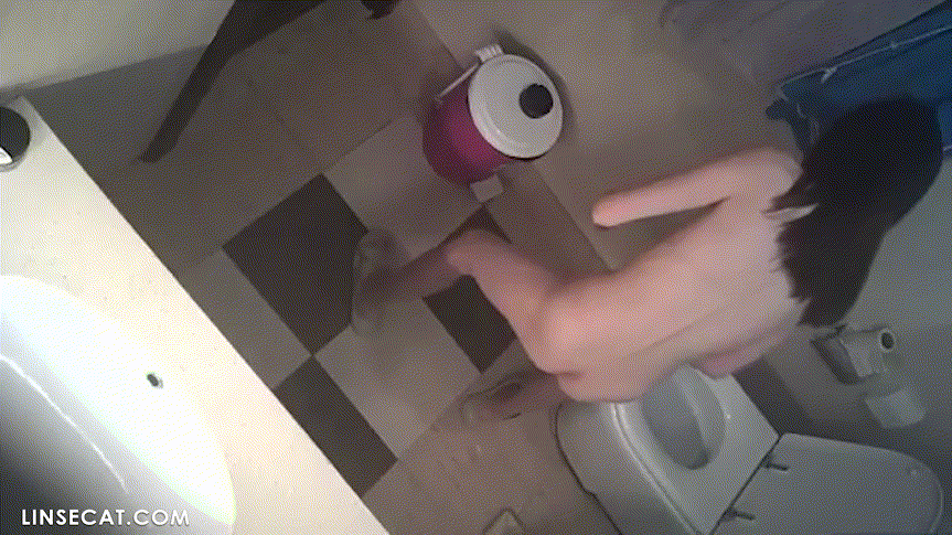 신작IP ✨ 가정집모음 미리보기 17