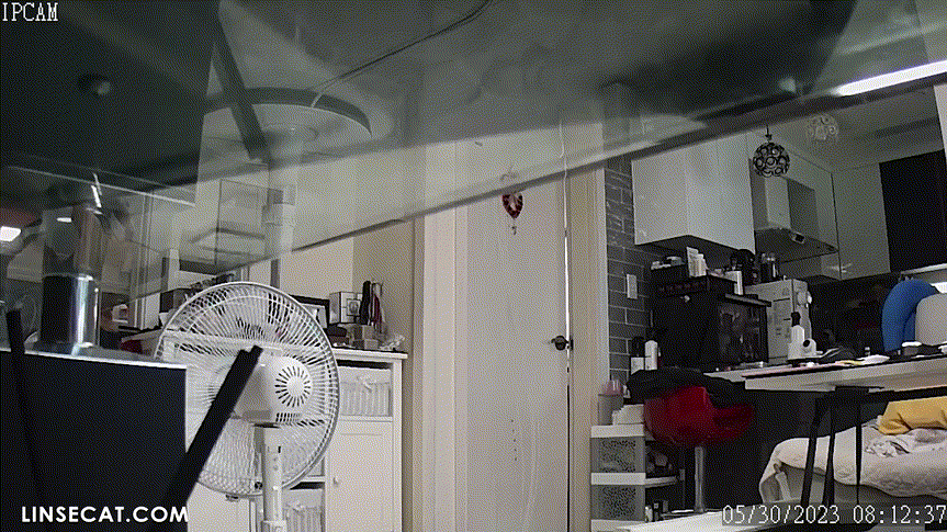 신작IP ✨ 가정집모음 미리보기 22