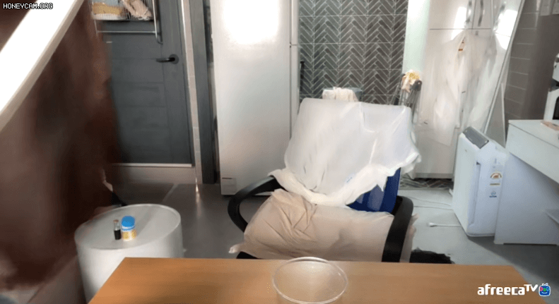 아프리카 노출 모음 [시간표기] 6V 미리보기 6