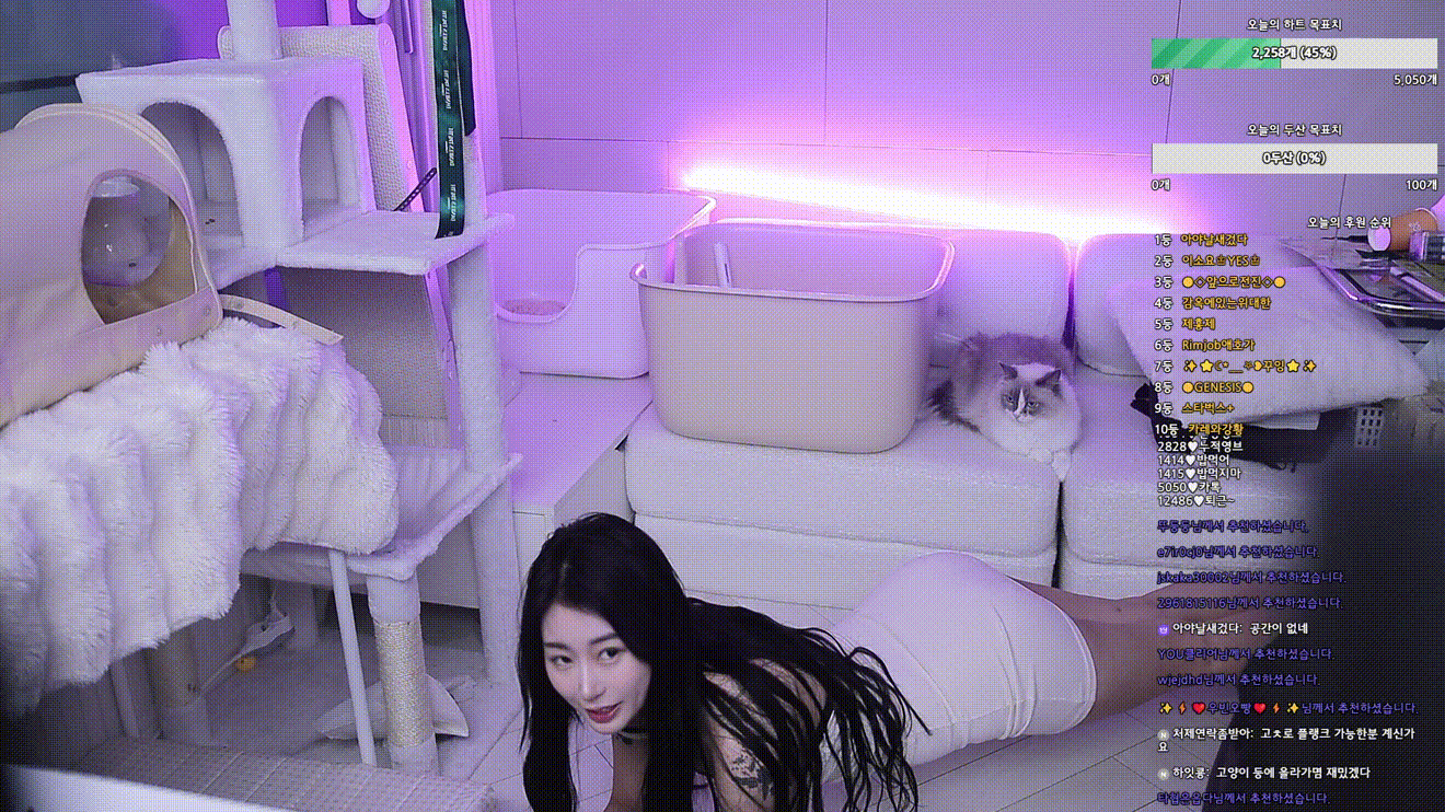 [신작벗방] 팬더뉴비 ★ 진지해 첫방송 25.05.05 2V_4.1G [꼭지노출] 미리보기 7