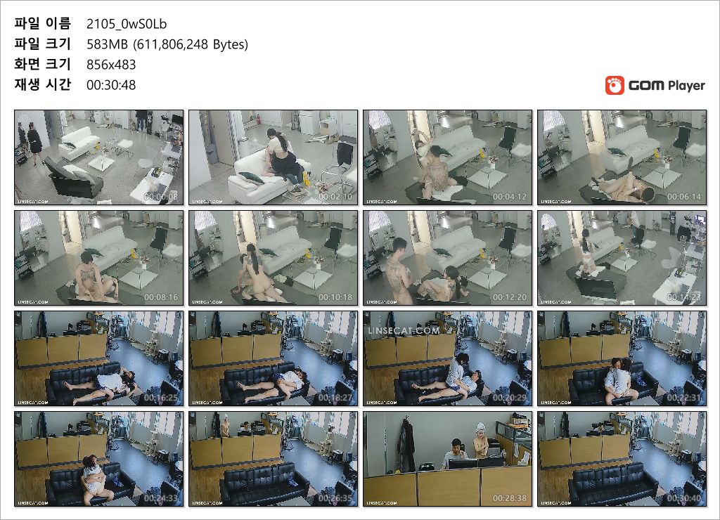 신작IP ✨ 역대급 ★ 사무실섹스 [타투커플/목욕까지하는 여자 2편] 미리보기 12