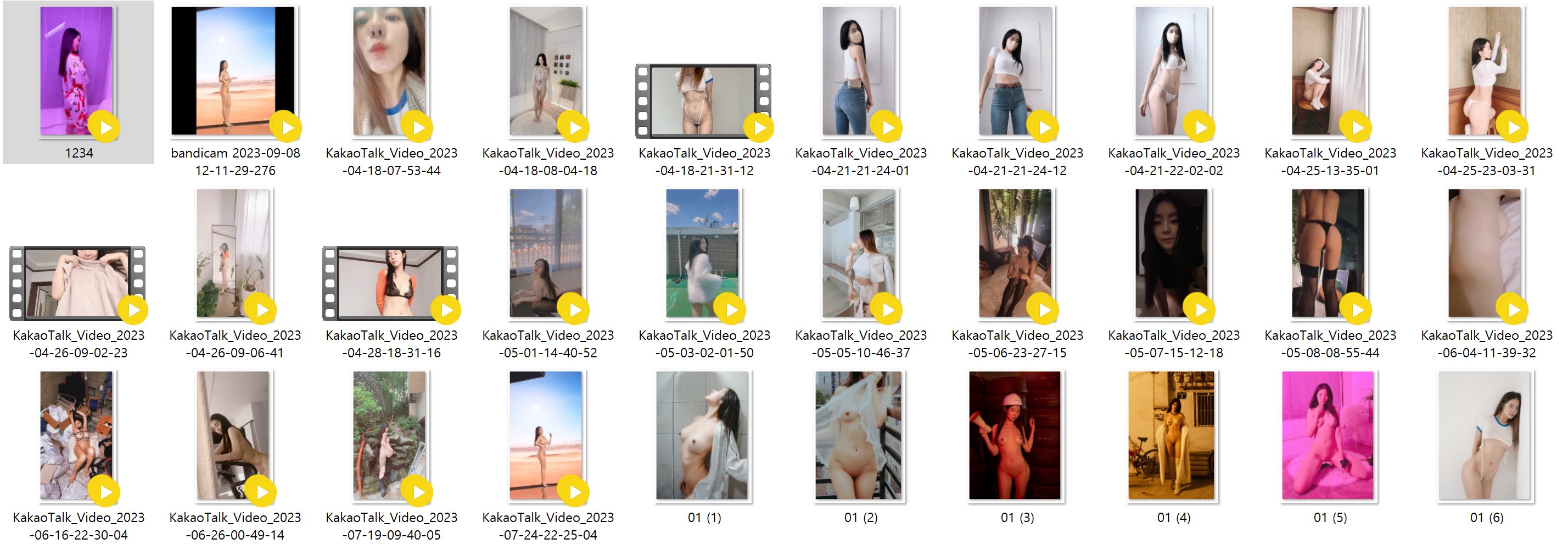 서리나 1000달러 구독자료 미리보기 4