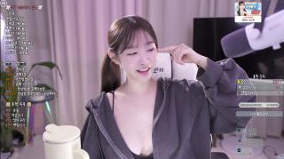 둘기얏_25.05.02 노와이아 노템/돌핀 리액션