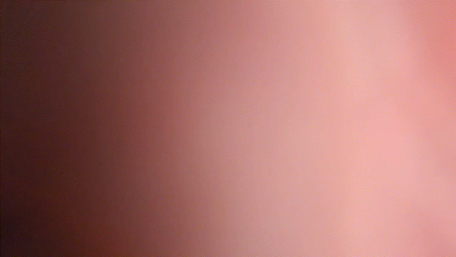 신작 ✨ 아프리카에서 밴드_올노자위 2V [얼공] 미리보기 6