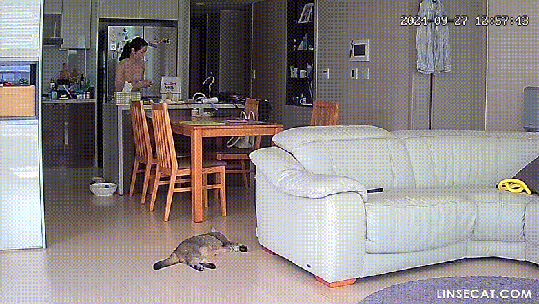 신작IP ✨ 대구_가정집 거실 2탄 [링크수정] 미리보기 2