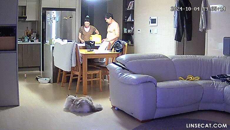 신작IP ✨ 대구_가정집 거실 2탄 [링크수정] 미리보기 5