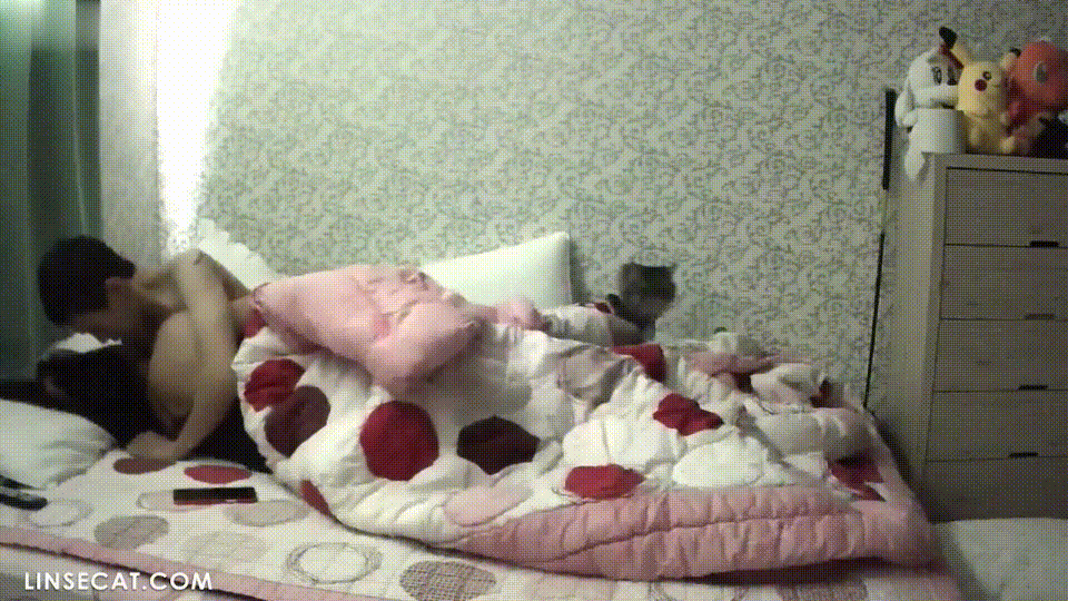 명작IP_피카츄 인형방:나시녀 섹스커플 미리보기 2