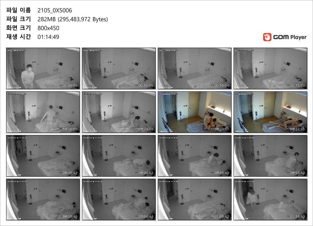 신작IP ✨ 안방섹스_2번하고도 모자라 자위하는 여자 미리보기 8