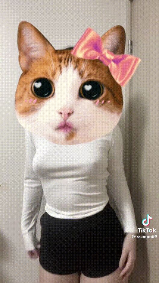 신작 ✨틱톡 서니_(ssunnnii9) 틱톡영상+✅트위터 라방 [25.06.23] 추가 미리보기 5