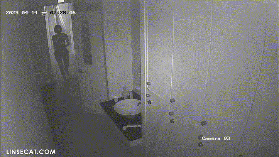 신작IP ✨ 스웨디시 샵 복도 [손님.관리사_올탈] 미리보기 10