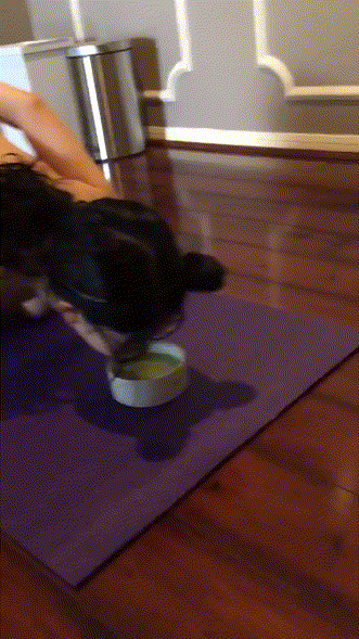 Sarah ★ 유학생 텍사스 변태년 15V.94P 얼공/일상 미리보기 8