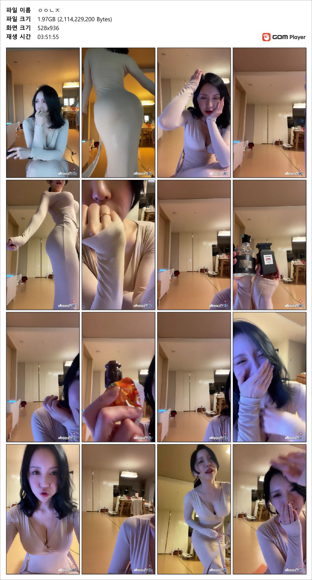 아프리카 아이니쥬 ★ 미시룩 풀버전 [3시간51분] 미리보기 12