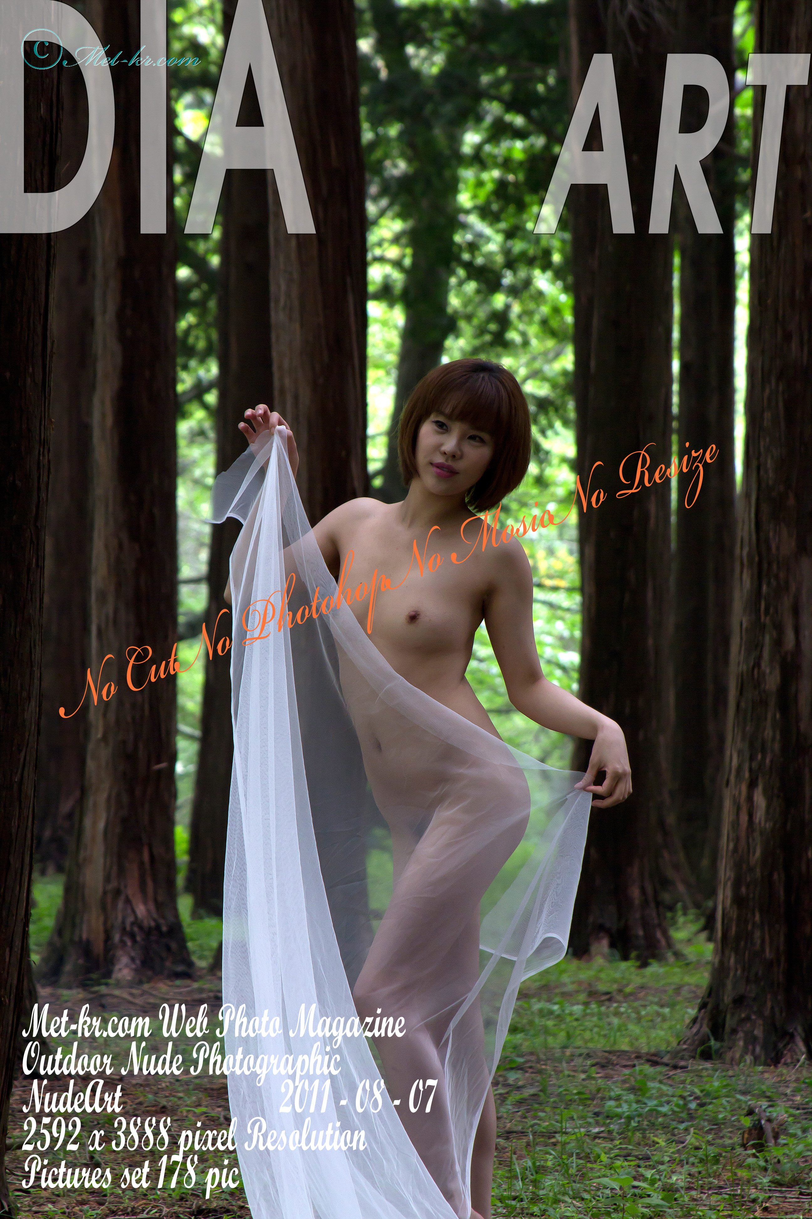 야외출사 14set 8.92GB 4062P 미리보기 3