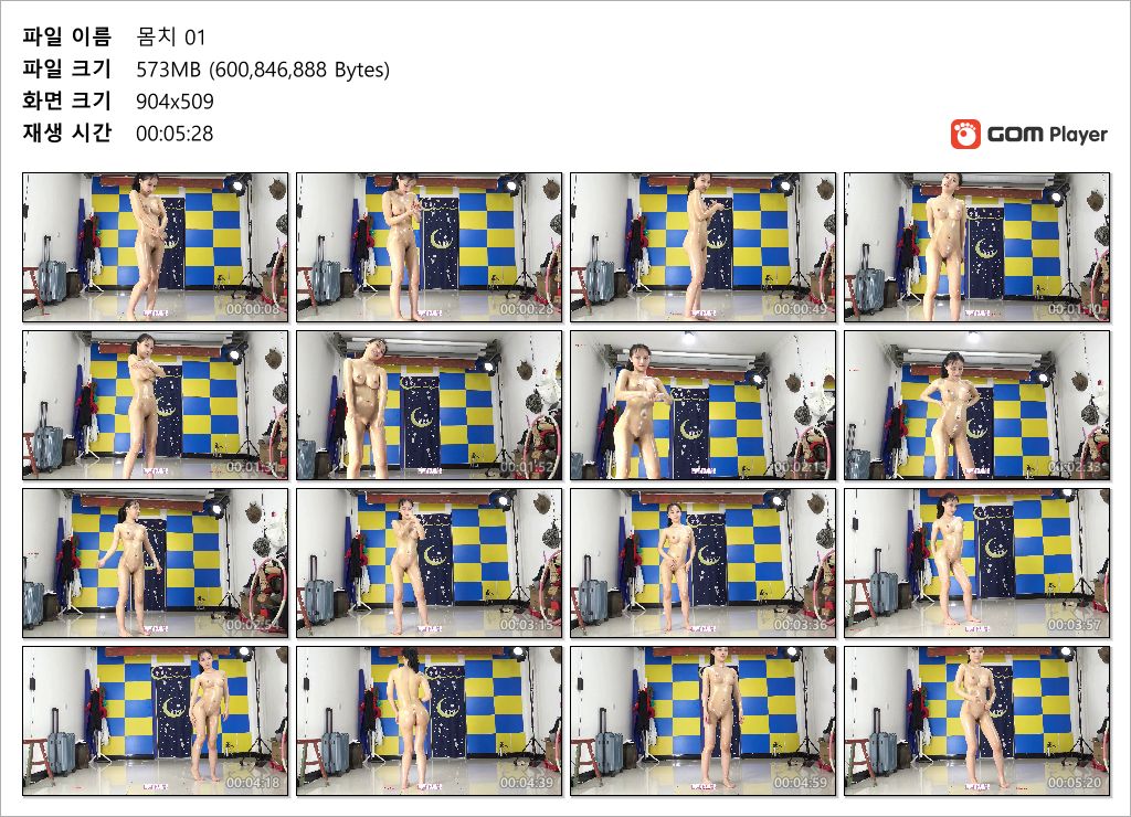 정말 춤 못추는 몸치 누드댄스/속옷모델 올노컷 14V_3.07G 미리보기 14