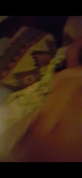 Reddit 서양 근친 자료 모음 미리보기 6