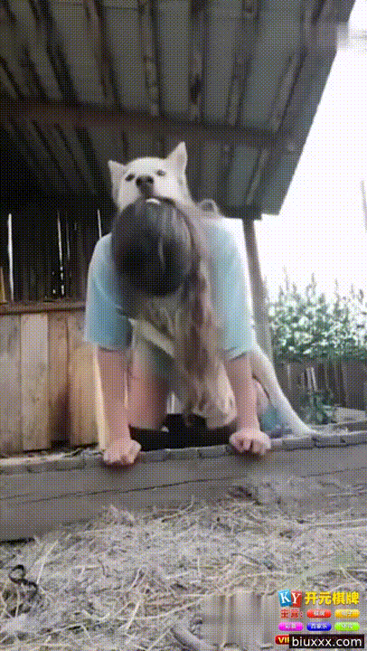 [수간 혐] 예쁜녀_개한테 자꾸 박히려 시도함_결국 성공 미리보기 3