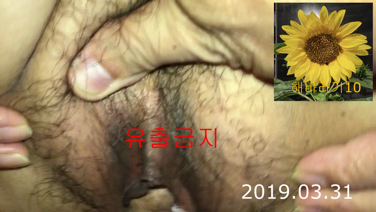 장모님 따먹기 프로젝트 [풀팩] 13.4기가 미리보기 1