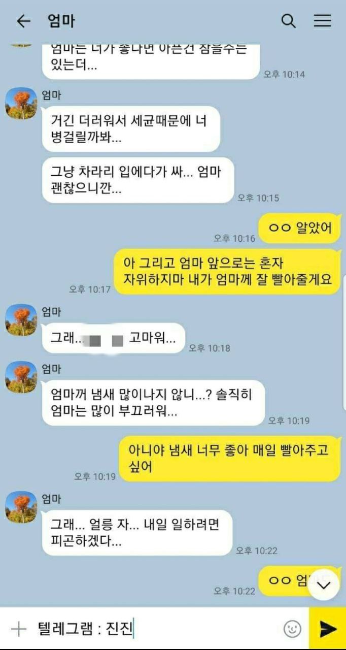 텔레@jinjinamy 엄마 [근친] 녹음 19개/사진 미리보기 6