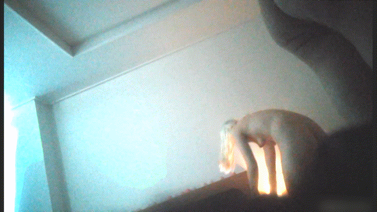 크리스티나 백마 OP녀 3.2G+리히모델 크리스티나 G.NA화보 포함 미리보기 6