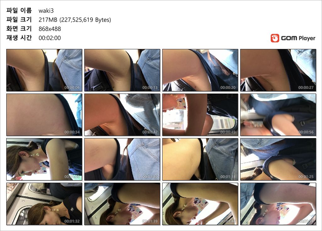 [취향] 지하철_겨드랑이녀 2명 미리보기 8