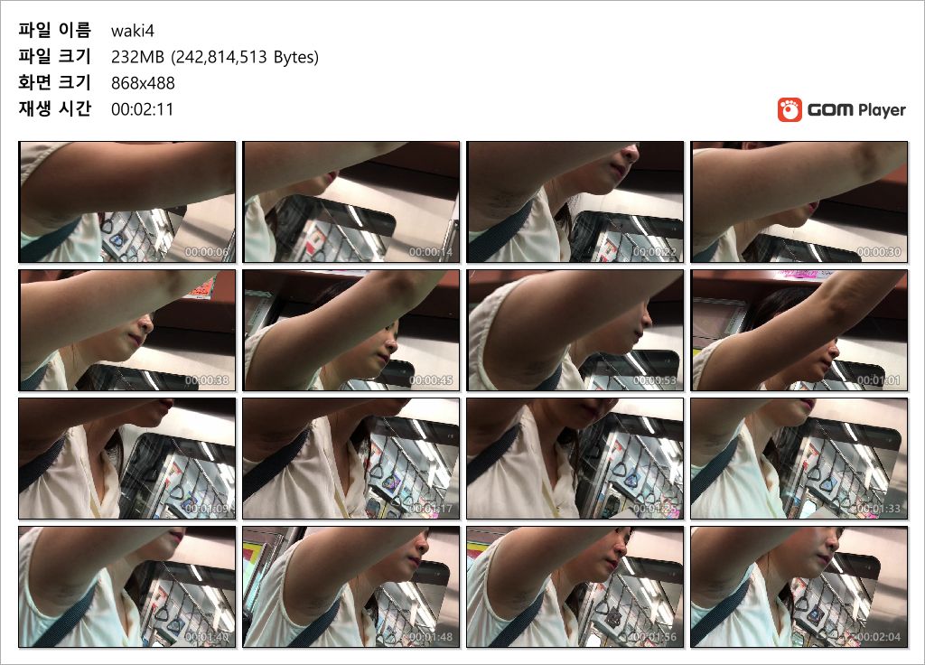 [취향] 지하철_겨드랑이녀 2명 미리보기 9